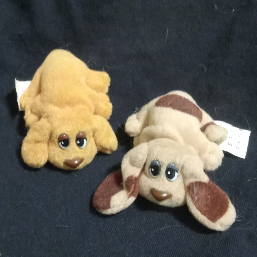2 miniature pound puppies